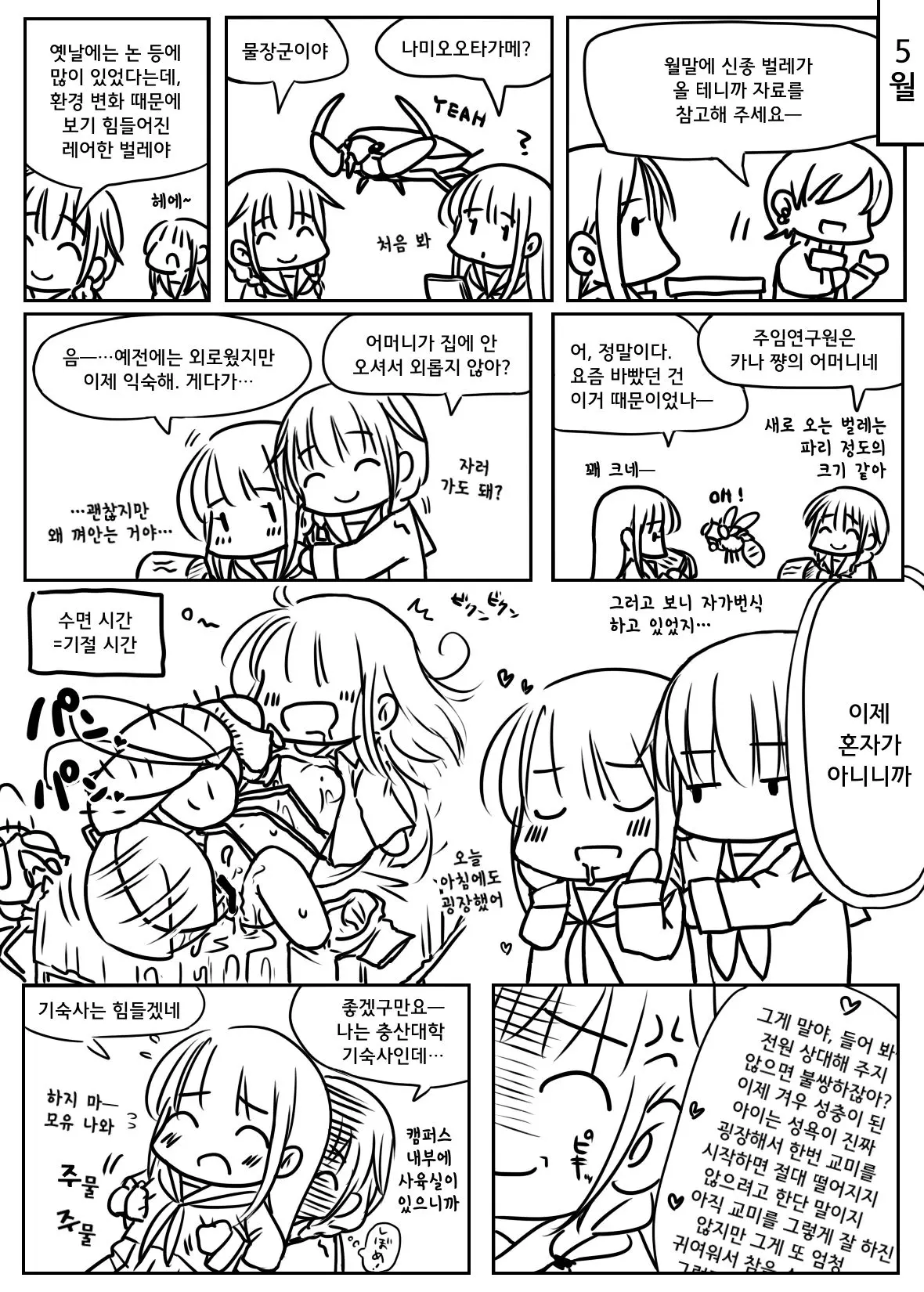 Daisy Chain 2